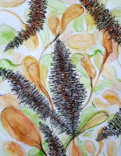 Native Study Series