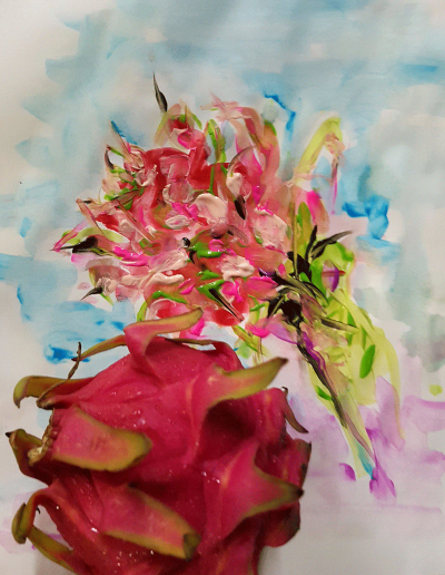 Dragon Fruit Study