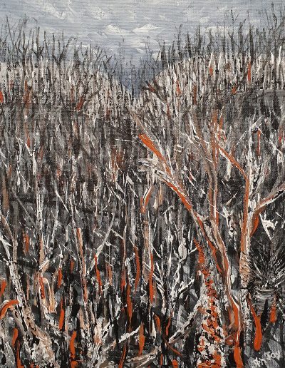 Peregian Springs Bushfires
