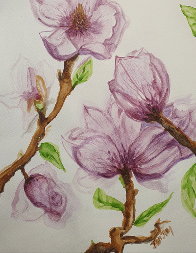 Port Wine Magnolias