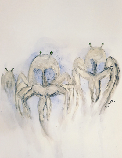 Artist l Art gallery l art classes Sunshine Coast
