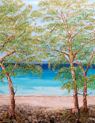 Artist l Art gallery l art classes Sunshine Coast
